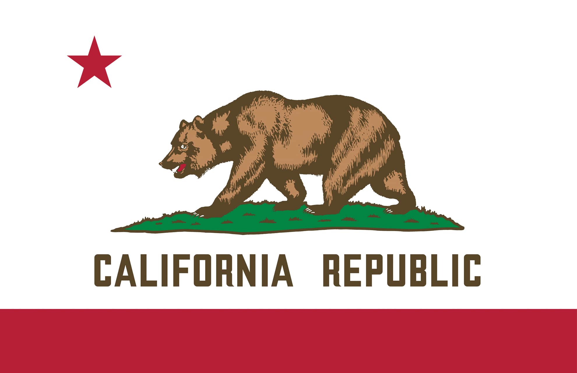 Flag of California with a brown bear on it